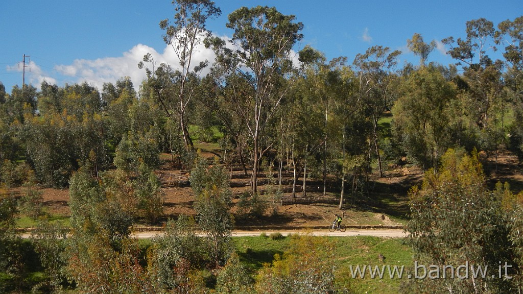 DSCN5920.JPG -                                