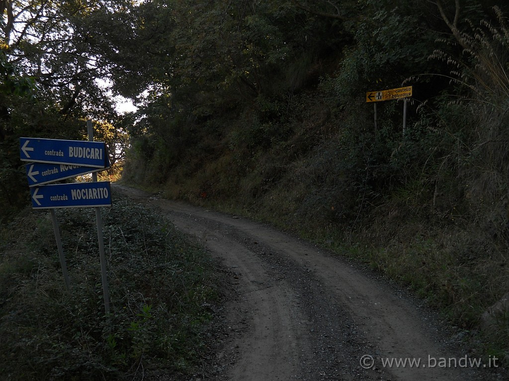 DSCN7703.JPG - Sempre salite!!!!!