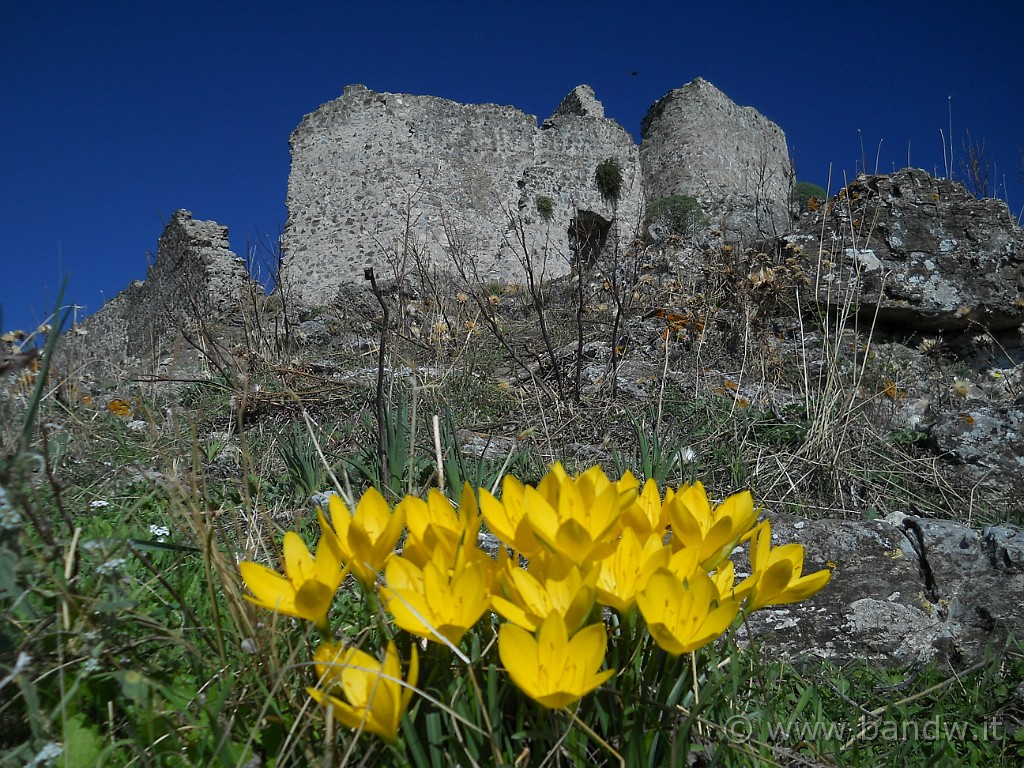 DSCN7736.JPG - ................