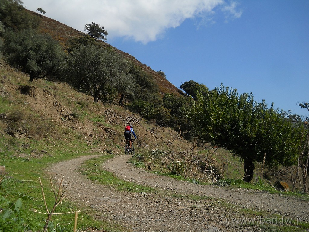 DSCN7830.JPG - \