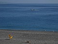 DSCN7843