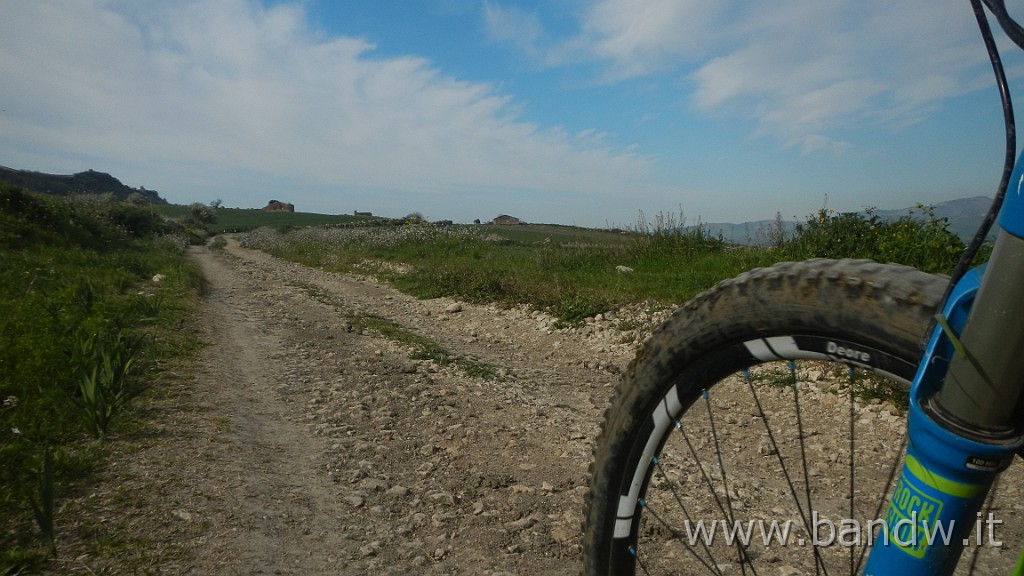 DSCN5995.JPG -                                