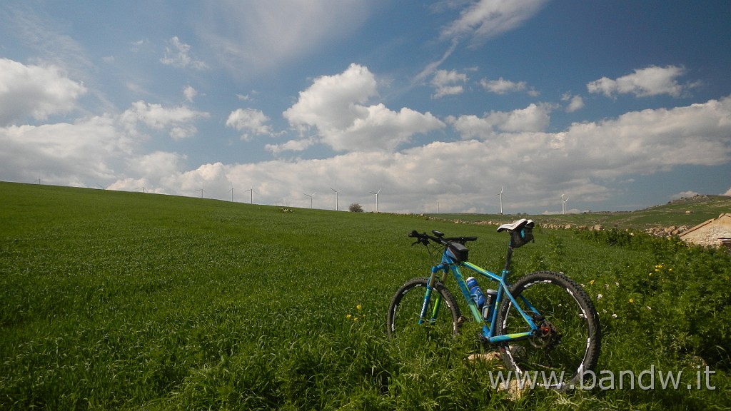 DSCN6037.JPG -                                