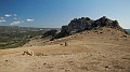 DSCN0257