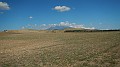 DSCN0269