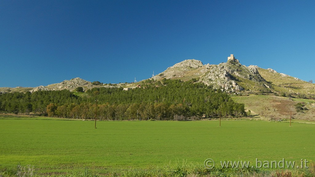 DSCN9741.JPG -                                