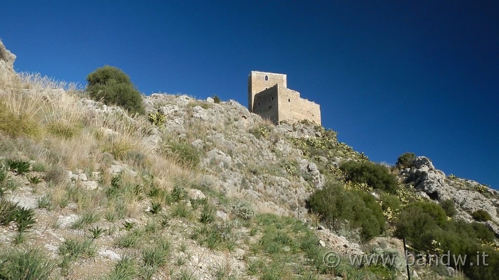 DSCN9747.JPG -                                