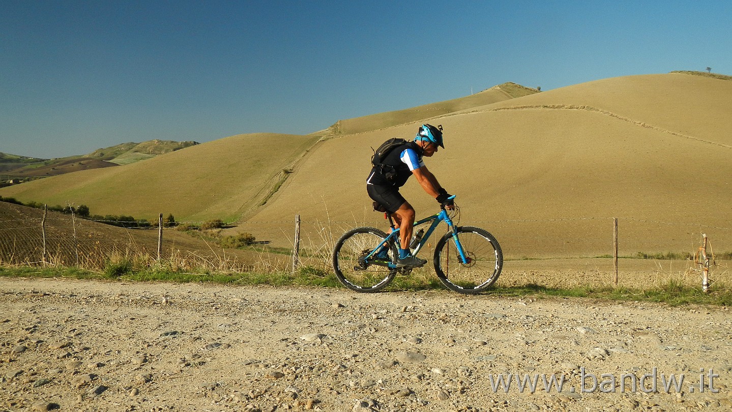 DSCN9908.JPG -                                