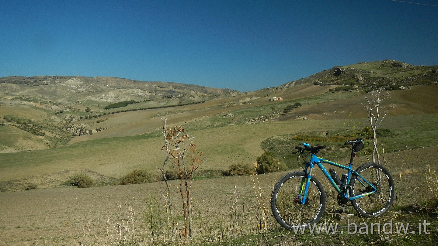 DSCN9916.JPG -                                