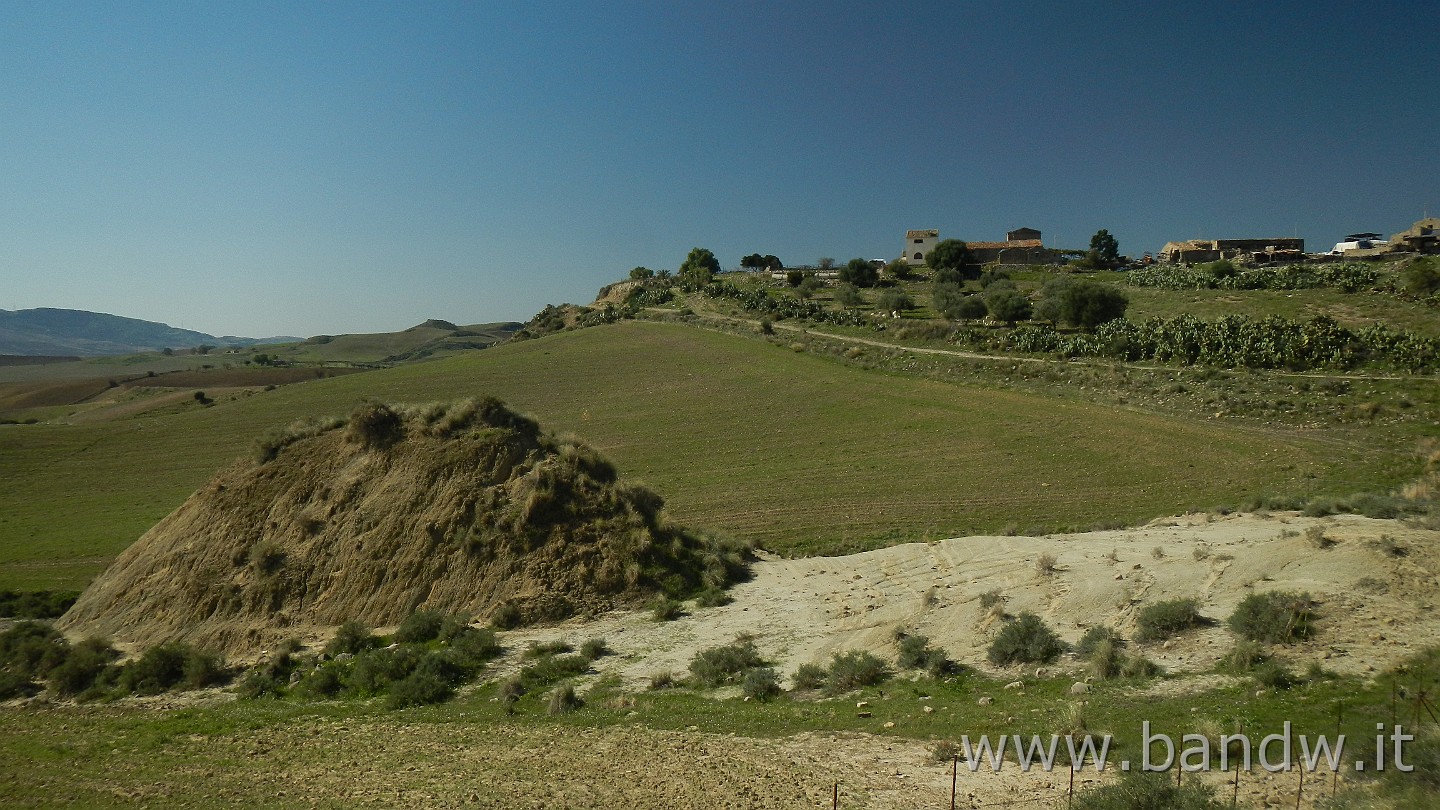 DSCN9921.JPG -                                