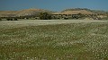 DSCN9934