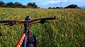 P_20180324_083937-01