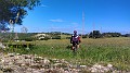P_20180324_084508-01