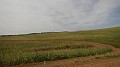 DSCN7204