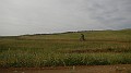 DSCN7205