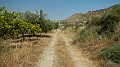 DSCN1005