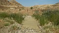 DSCN1007