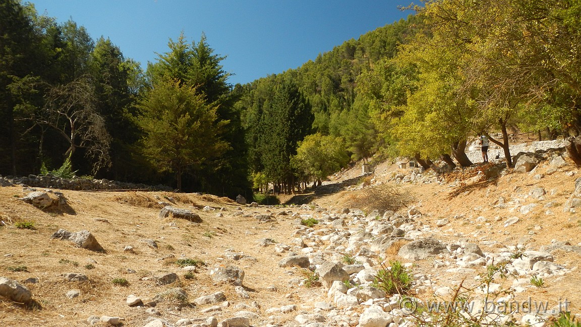 DSCN4259.JPG -                                