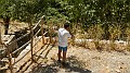 DSCN4297