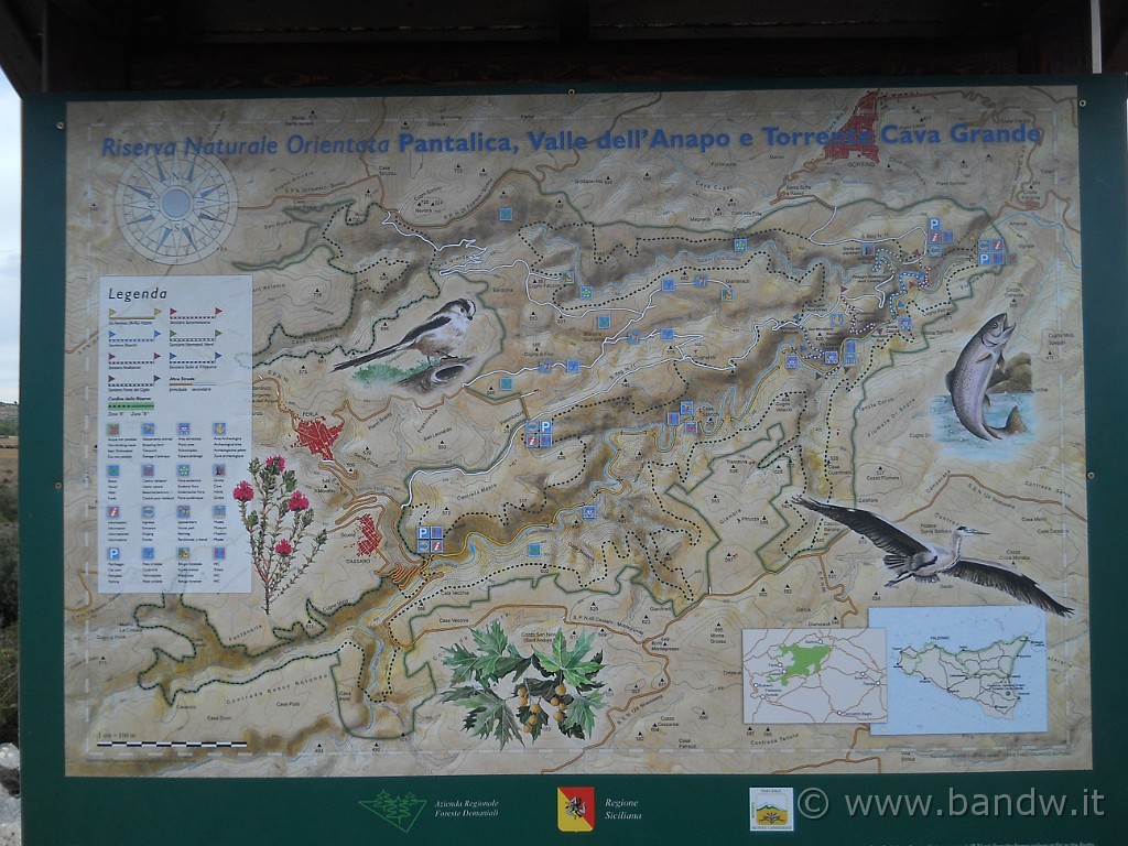 DSCN7359.JPG -           