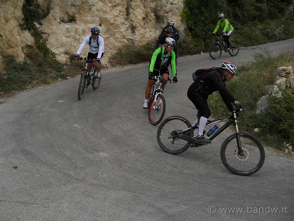 DSCN7416.JPG -           