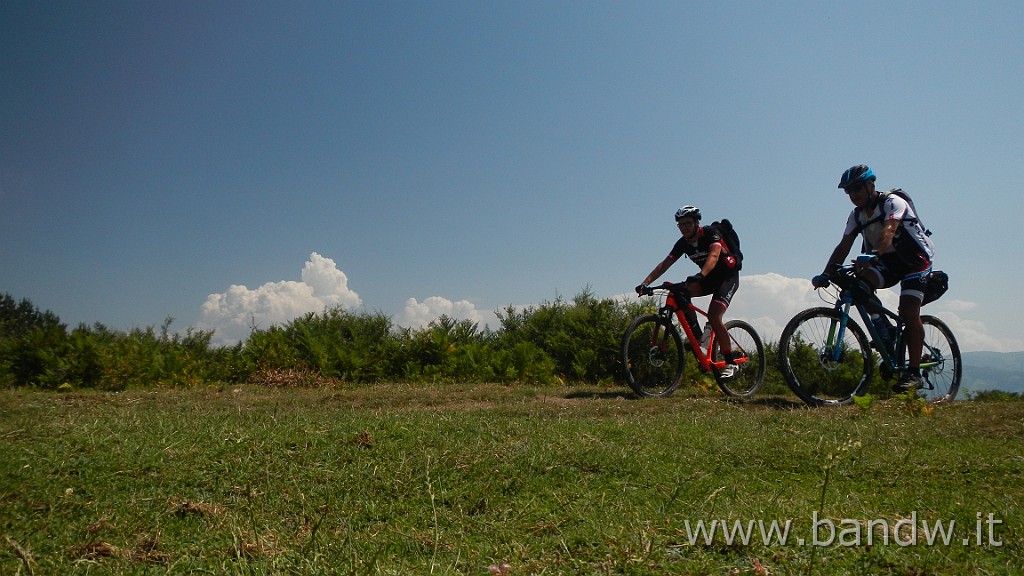 DSCN5005.JPG -                                