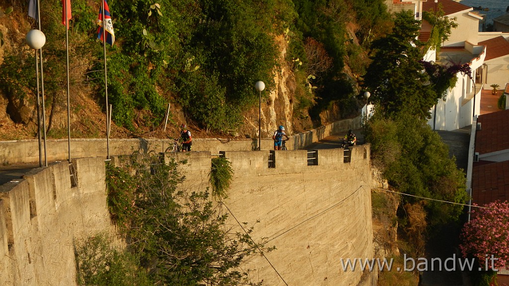DSCN5033.JPG -                                