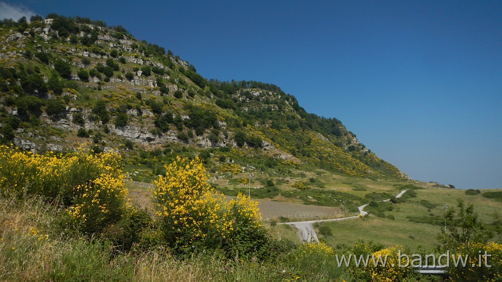 DSCN5041.JPG -                                