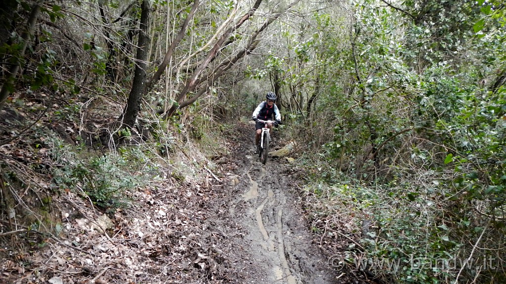 DSCN8579.JPG -                                