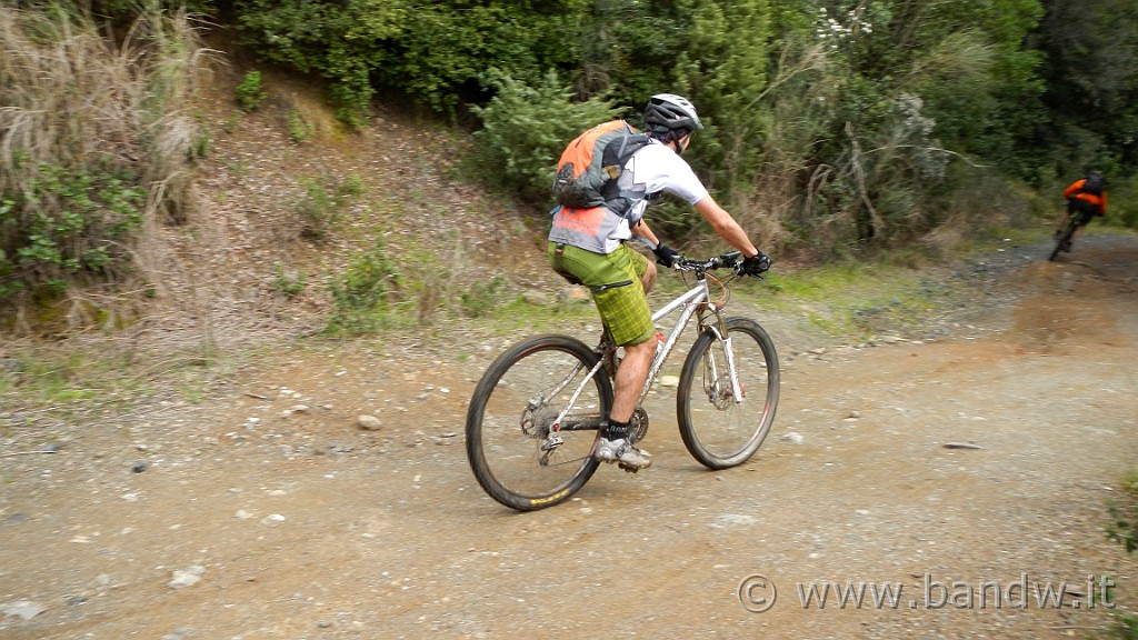 DSCN8588.JPG -                                