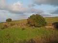 DSCN8466