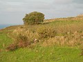 DSCN8467