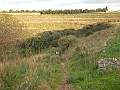 DSCN8475
