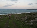 DSCN8480