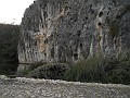 DSCN8489