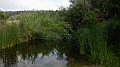 DSCN3333
