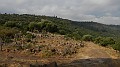 DSCN3336