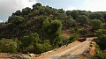 DSCN3341