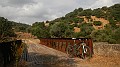 DSCN3343