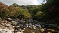 DSCN3344