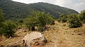 DSCN3355