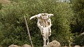 DSCN3356