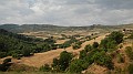 DSCN3357