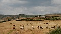 DSCN3358