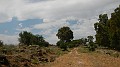 DSCN3364