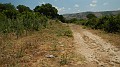 DSCN3370