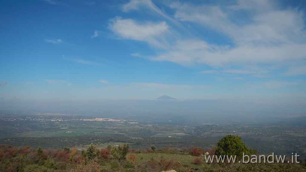DSCN4246.JPG -                                