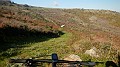 DSCN4229