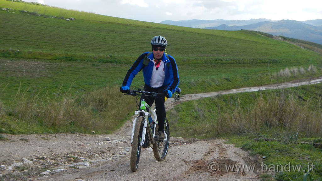 DSCN7272.JPG -                                