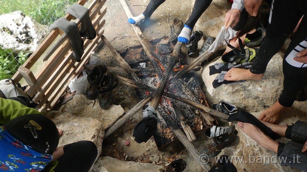 DSCN7290.JPG -                                